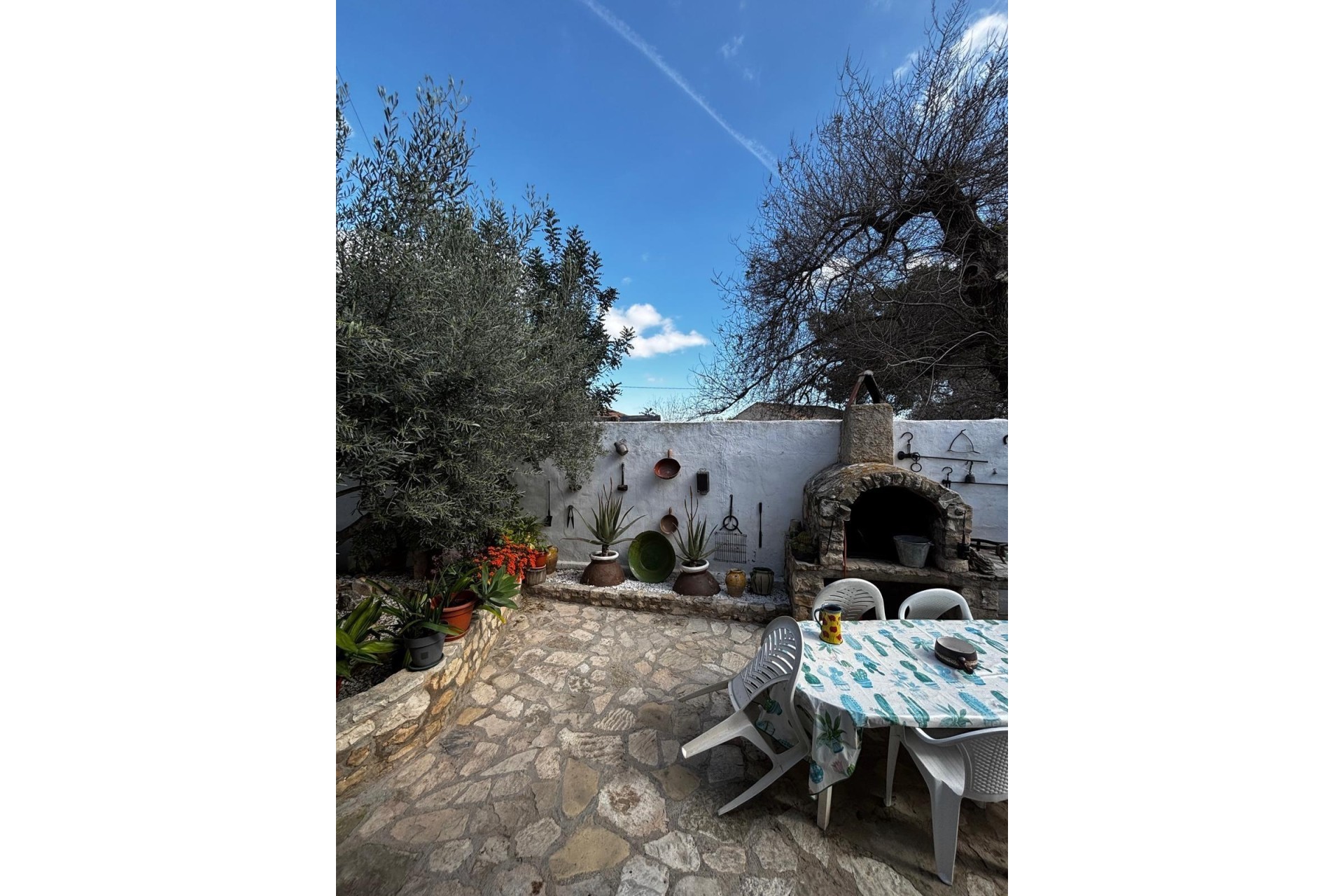 Revente - Finca Propriété rurale -
Benejúzar