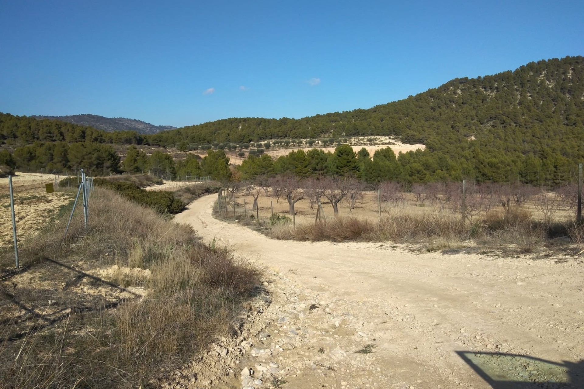 Revente - Finca Propriété rurale -
Bullas