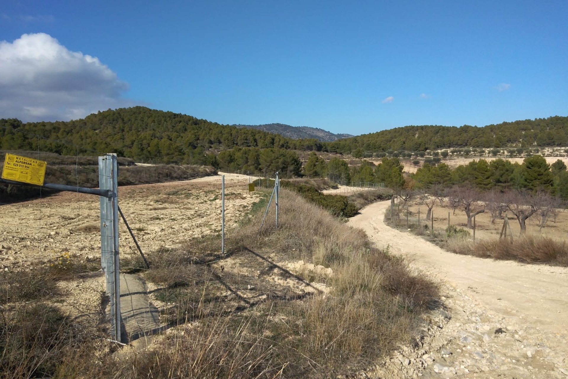 Revente - Finca Propriété rurale -
Bullas