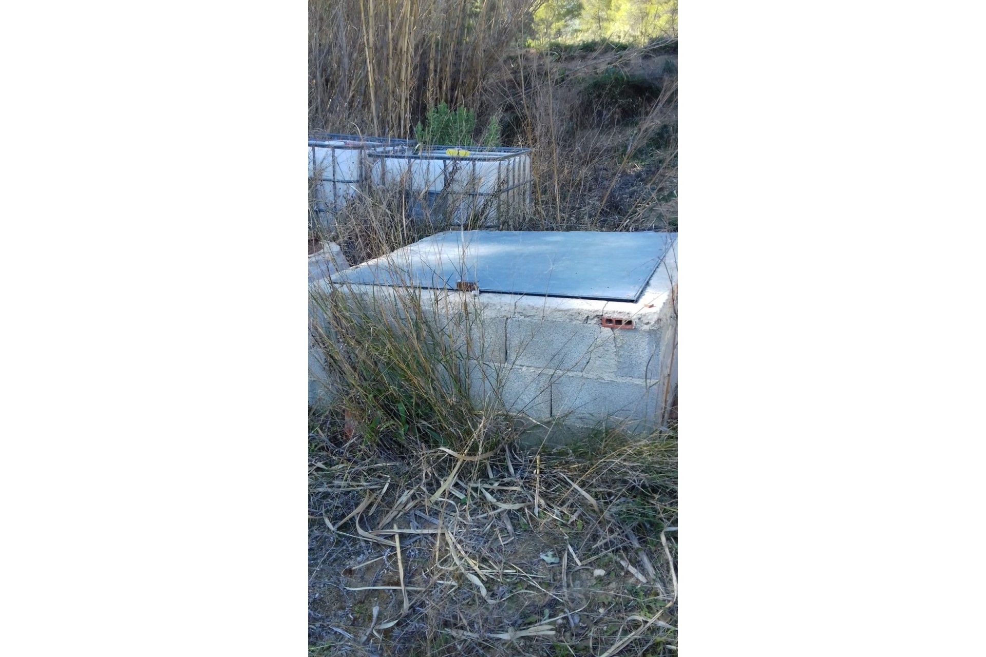 Revente - Finca Propriété rurale -
Bullas