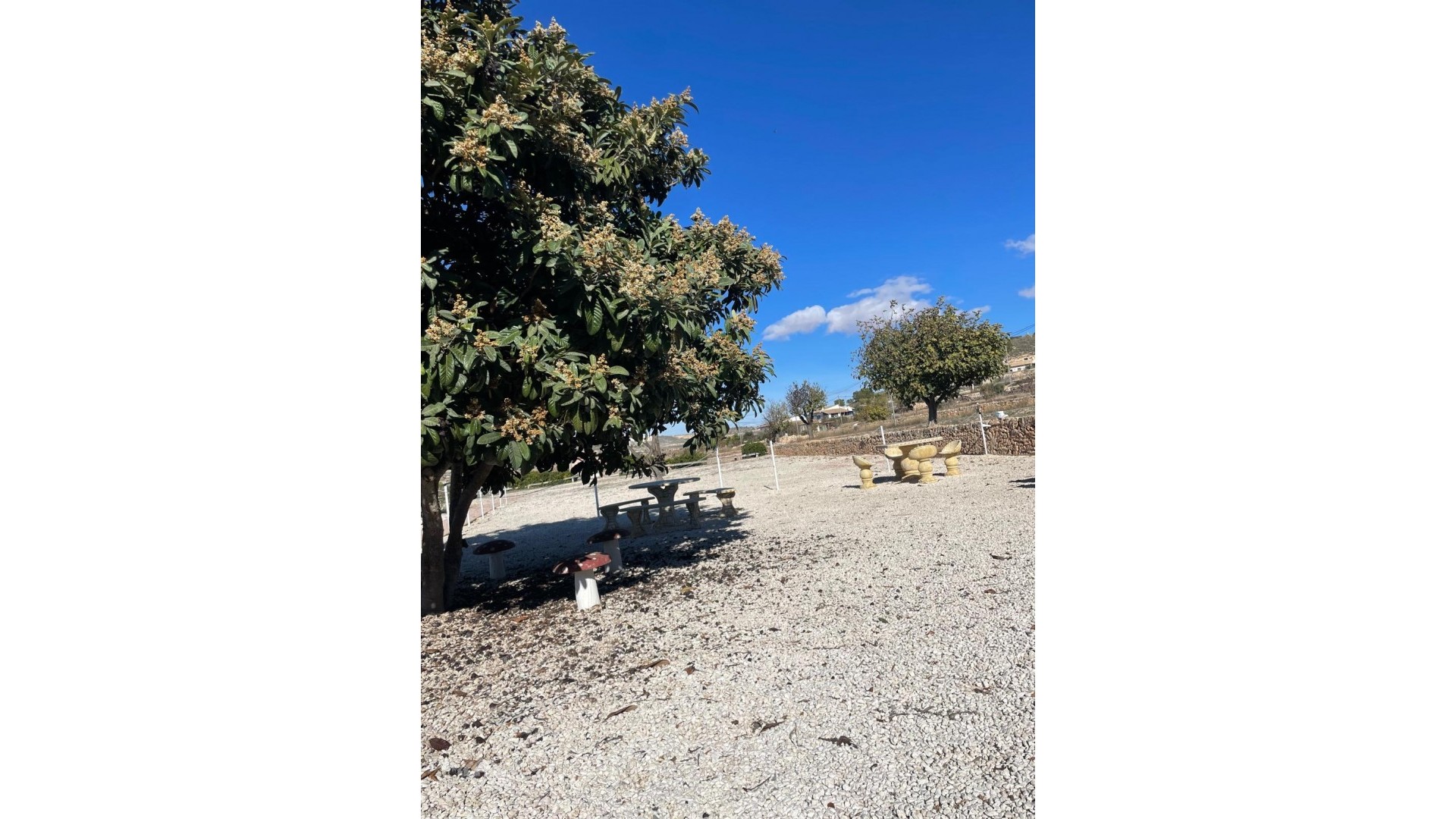 Revente - Finca Propriété rurale -
Ca&ntilde;ada del Trigo - Ca&ntilde;ada del Trigo Murcia