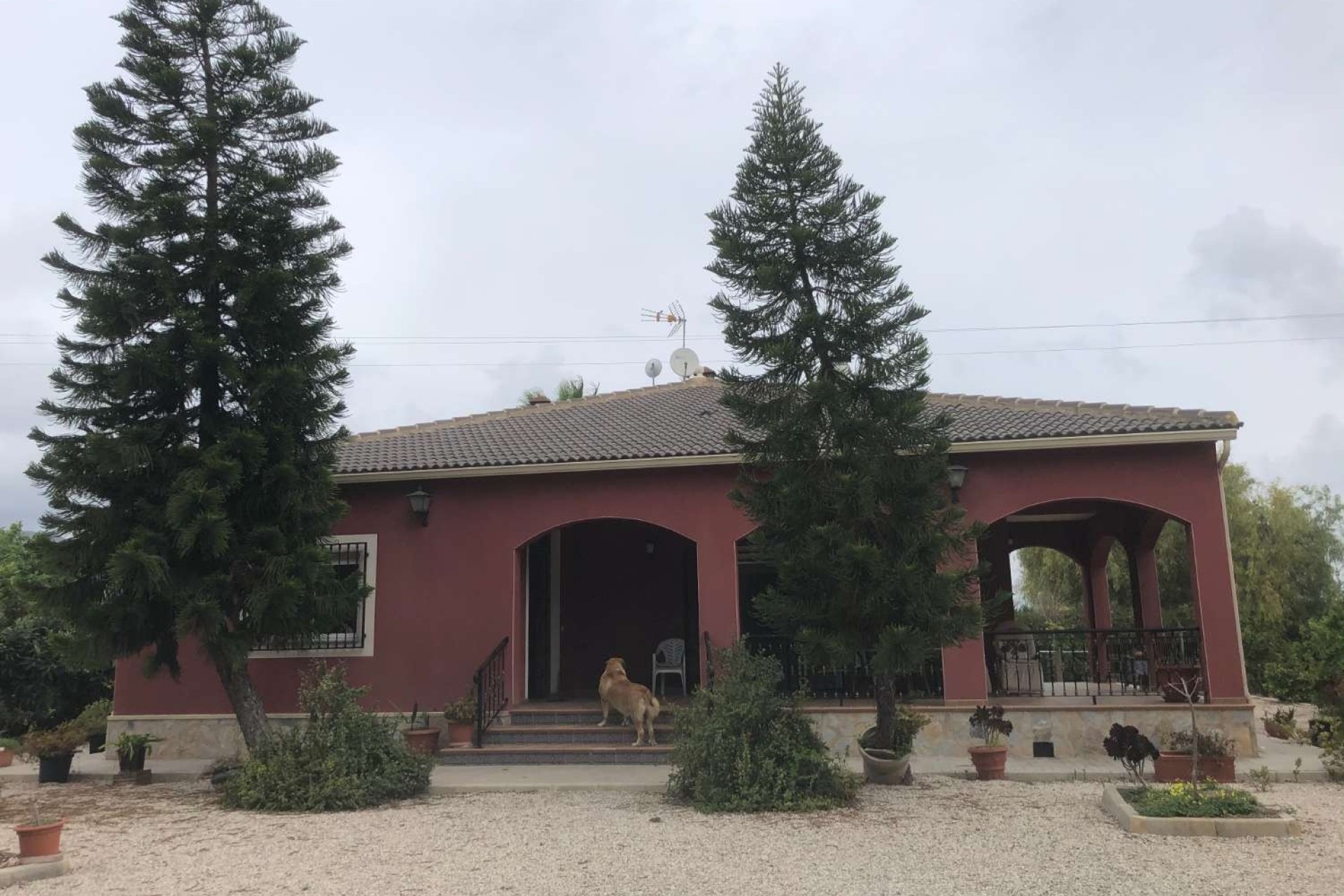 Revente - Finca Propriété rurale -
Callosa de Segura