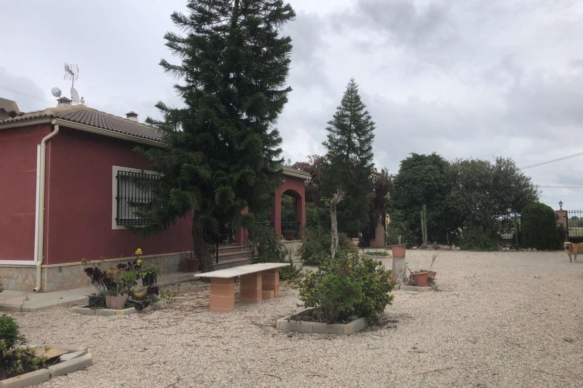 Revente - Finca Propriété rurale -
Callosa de Segura
