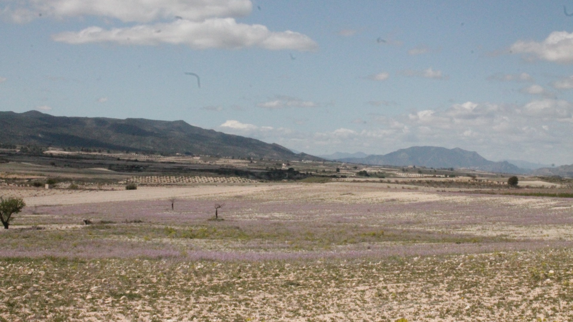 Revente - Finca Propriété rurale -
Cañada del Trigo - Canada del Trigo Murcia