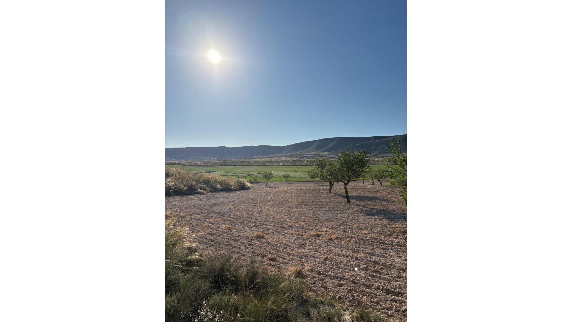 Revente - Finca Propriété rurale -
Cañada del Trigo - Canada del Trigo Murcia