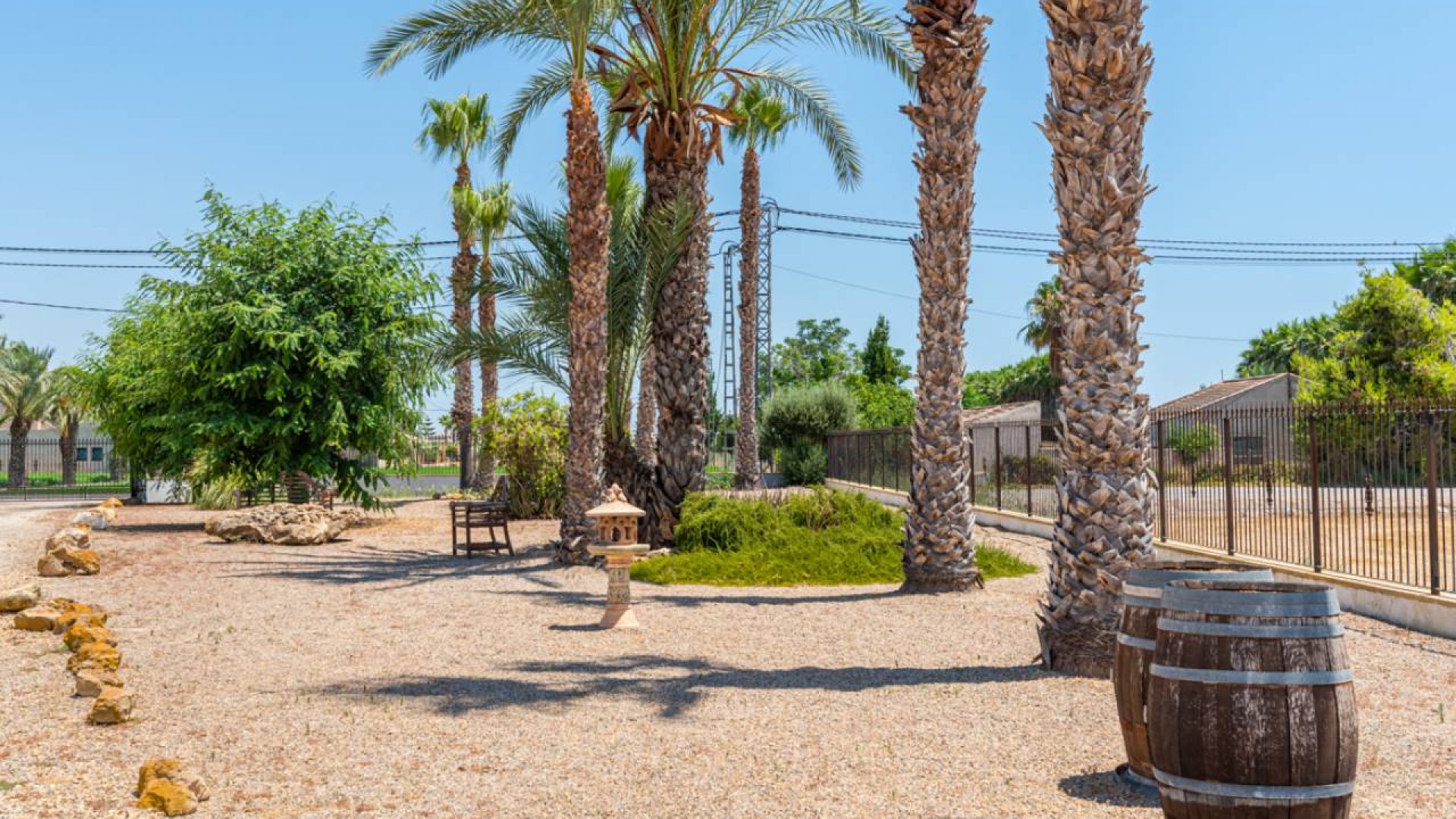 Revente - Finca Propriété rurale -
Catral