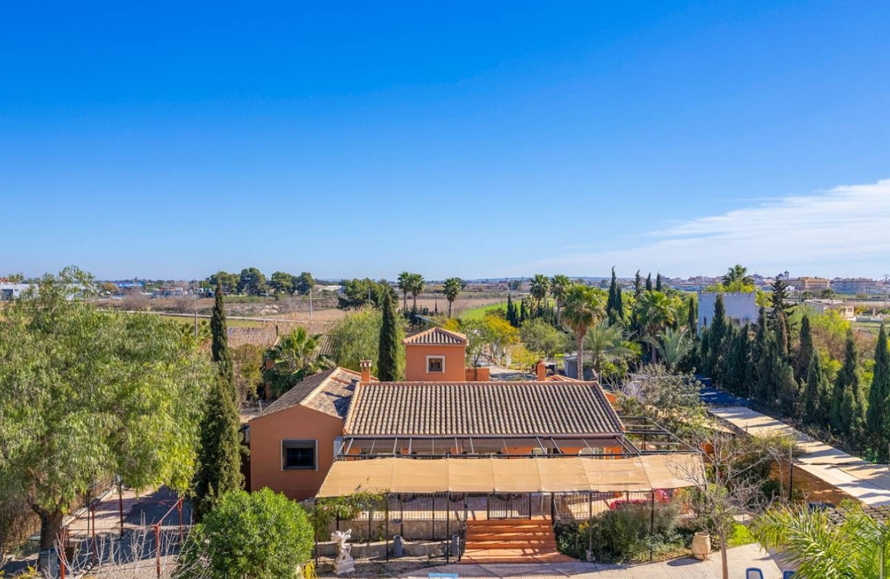 Revente - Finca Propriété rurale -
Catral