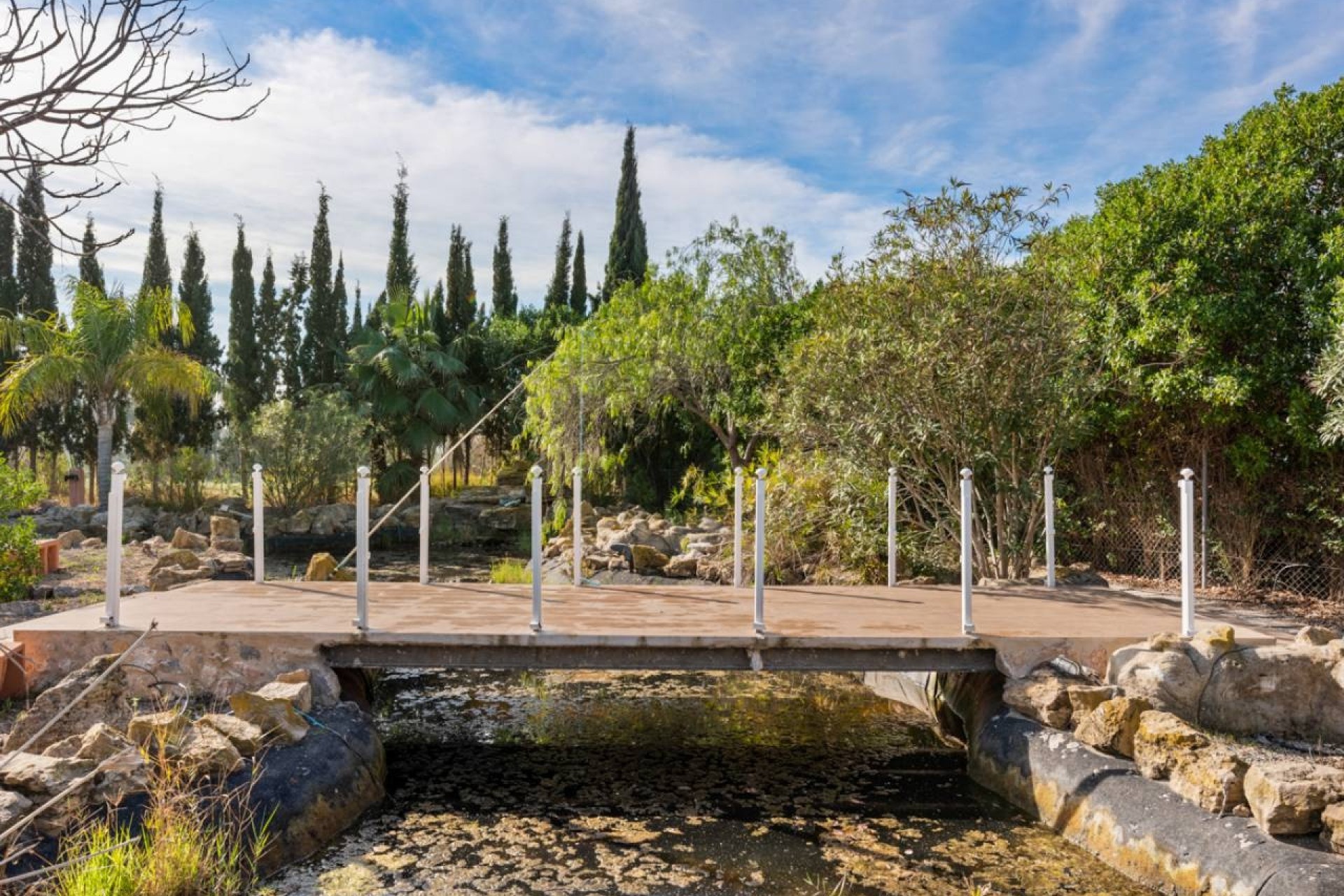 Revente - Finca Propriété rurale -
Catral