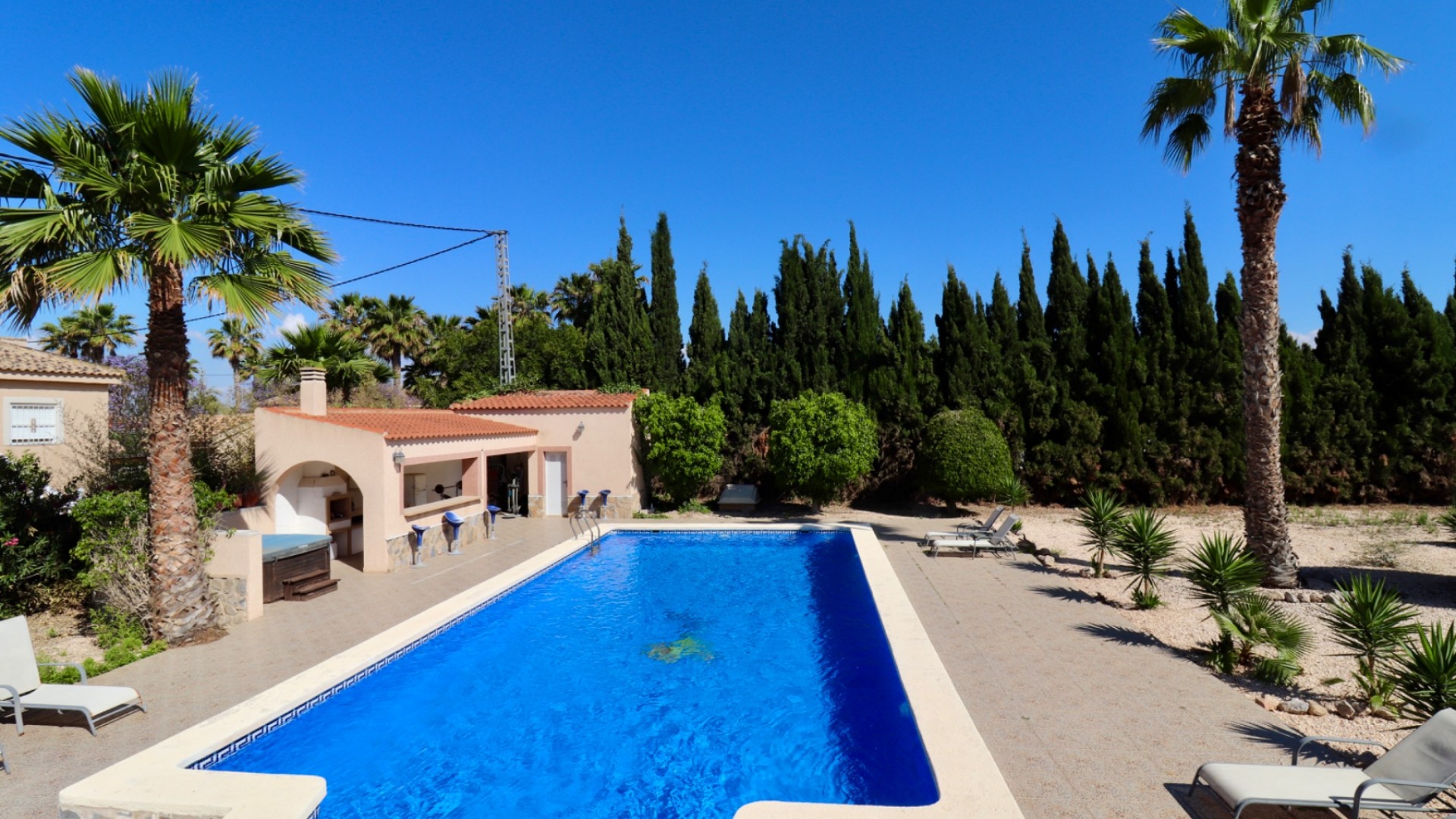 Revente - Finca Propriété rurale -
Catral