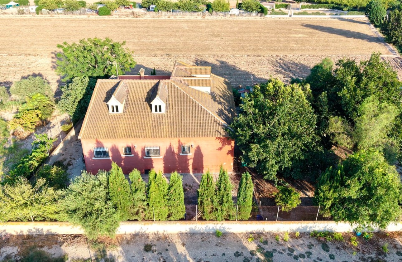 Revente - Finca / Propriété rurale -
Catral