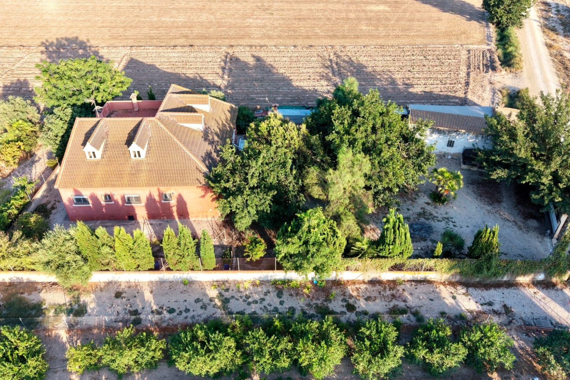 Revente - Finca / Propriété rurale -
Catral