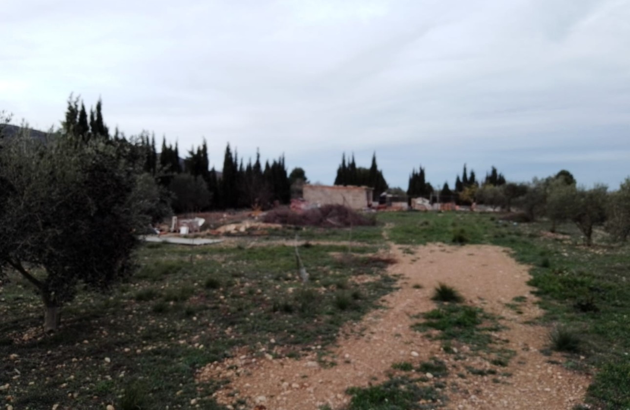 Revente - Finca Propriété rurale -
Caudete