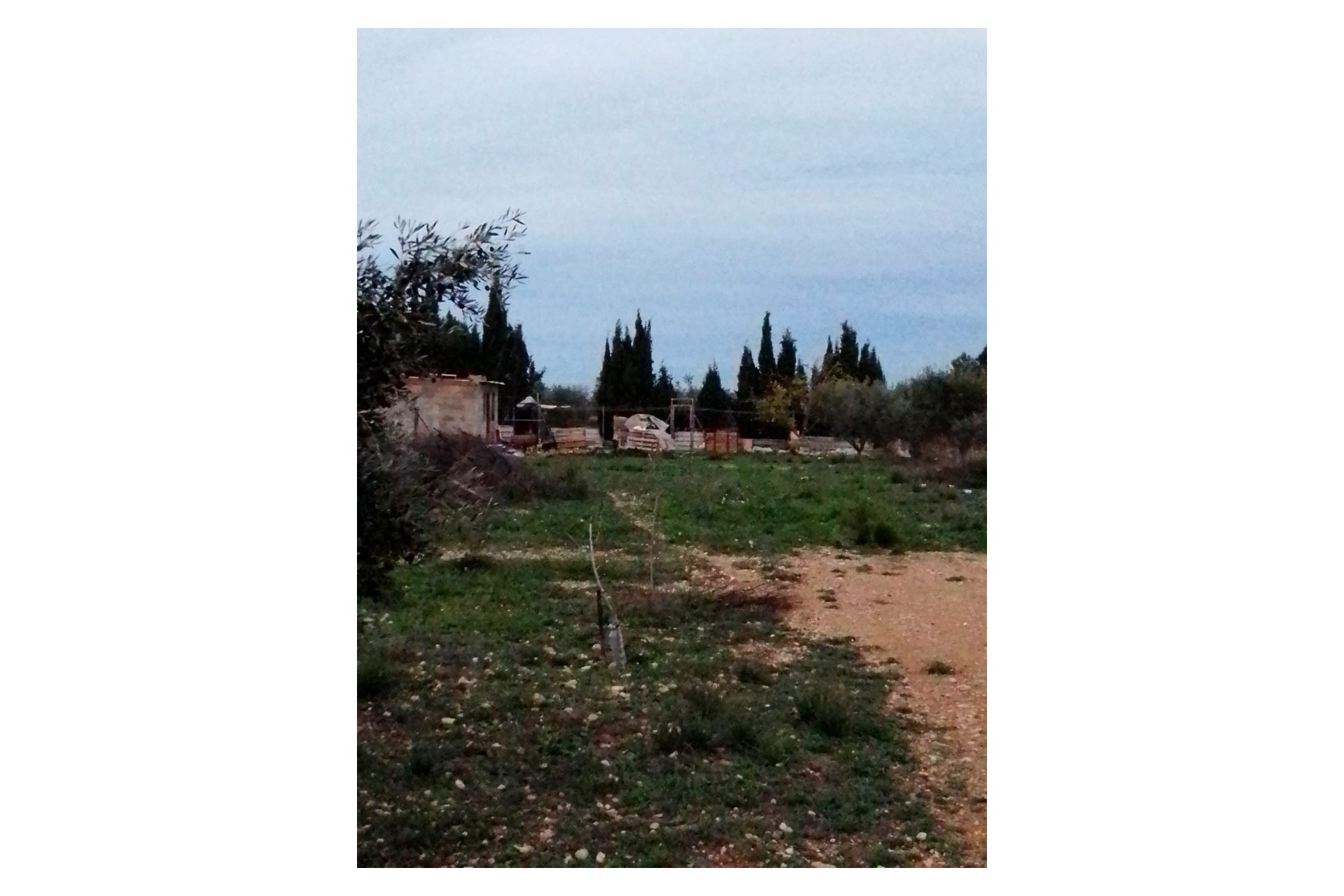 Revente - Finca Propriété rurale -
Caudete