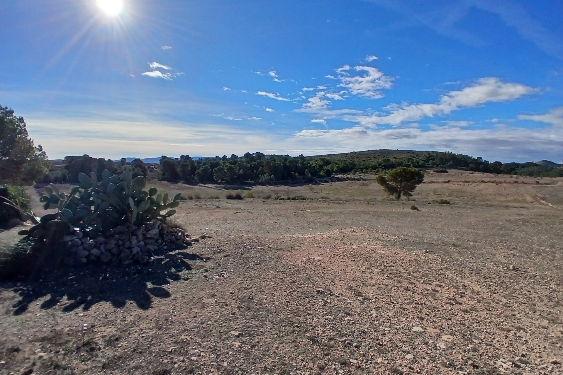 Revente - Finca Propriété rurale -
Caudete