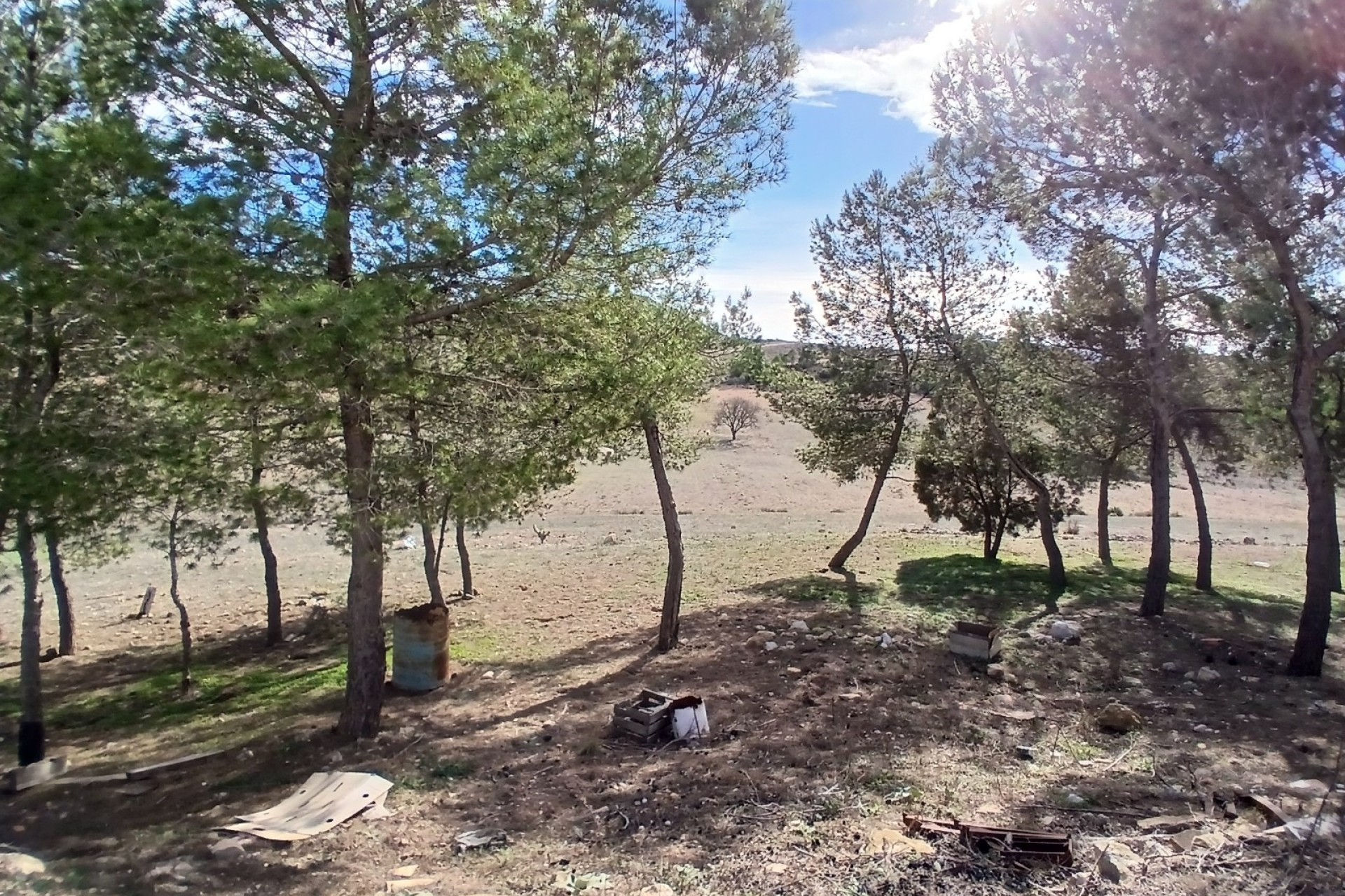 Revente - Finca Propriété rurale -
Caudete