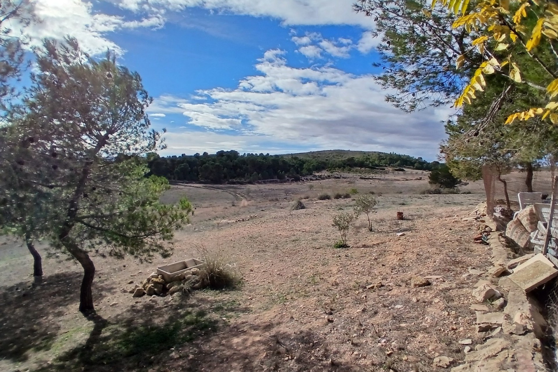 Revente - Finca Propriété rurale -
Caudete