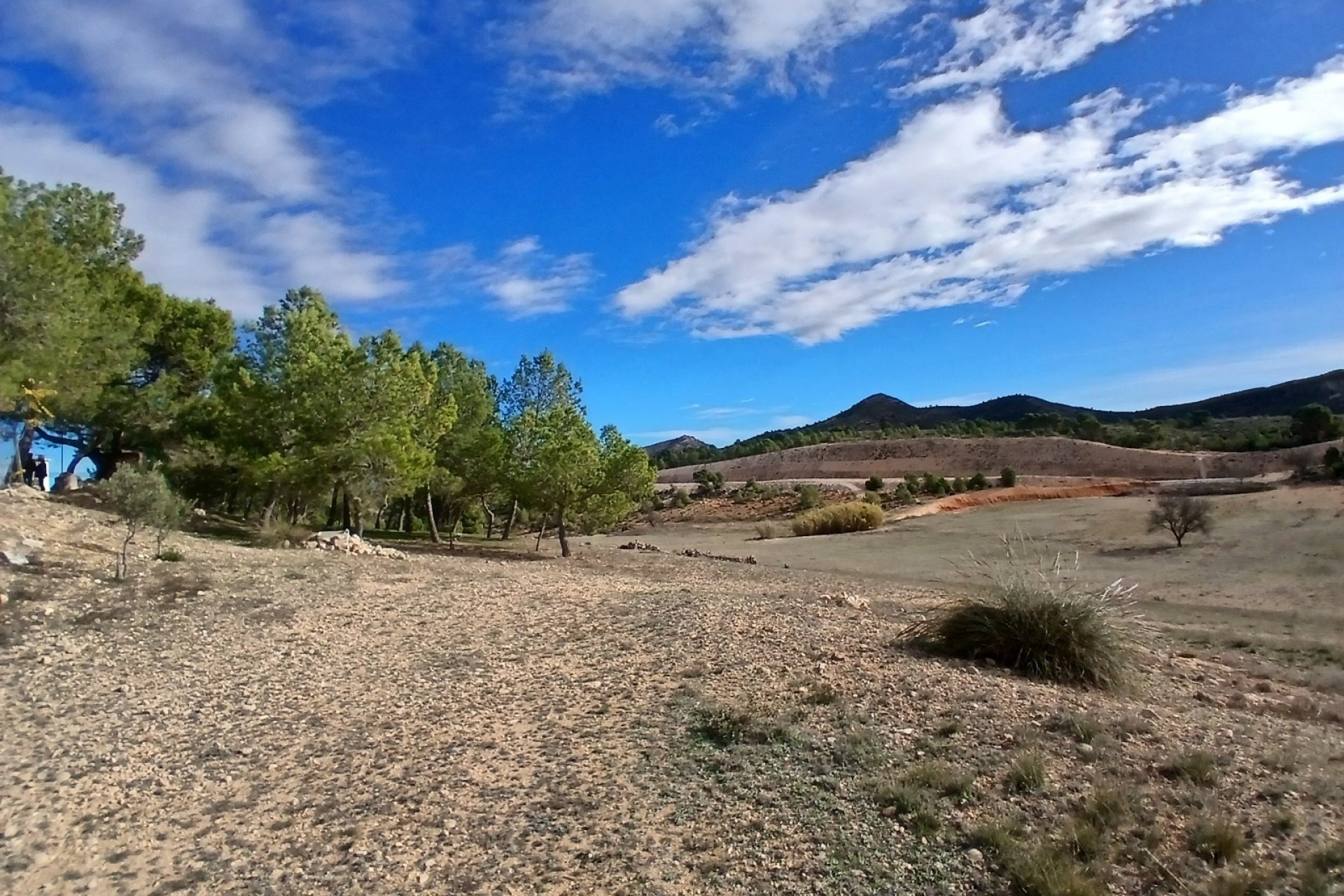 Revente - Finca Propriété rurale -
Caudete