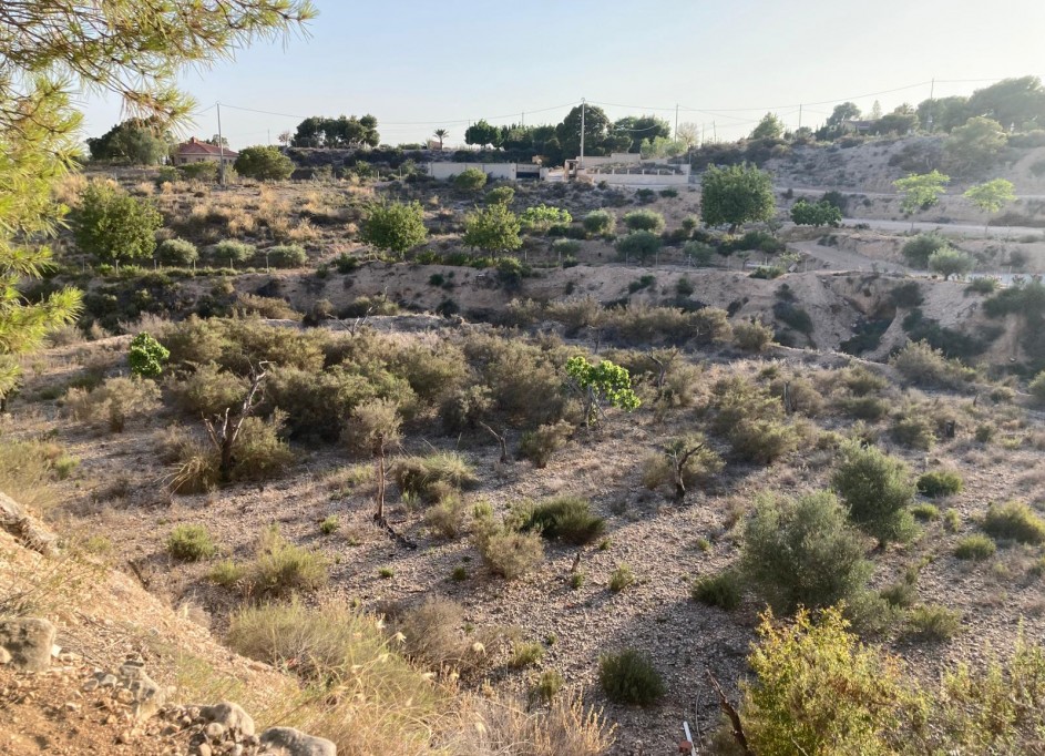Revente - Finca Propriété rurale -
Crevillente