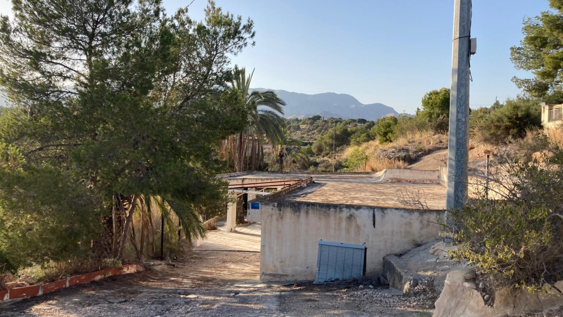 Revente - Finca Propriété rurale -
Crevillente