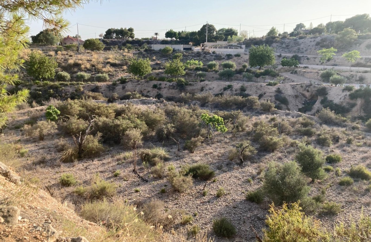 Revente - Finca Propriété rurale -
Crevillente