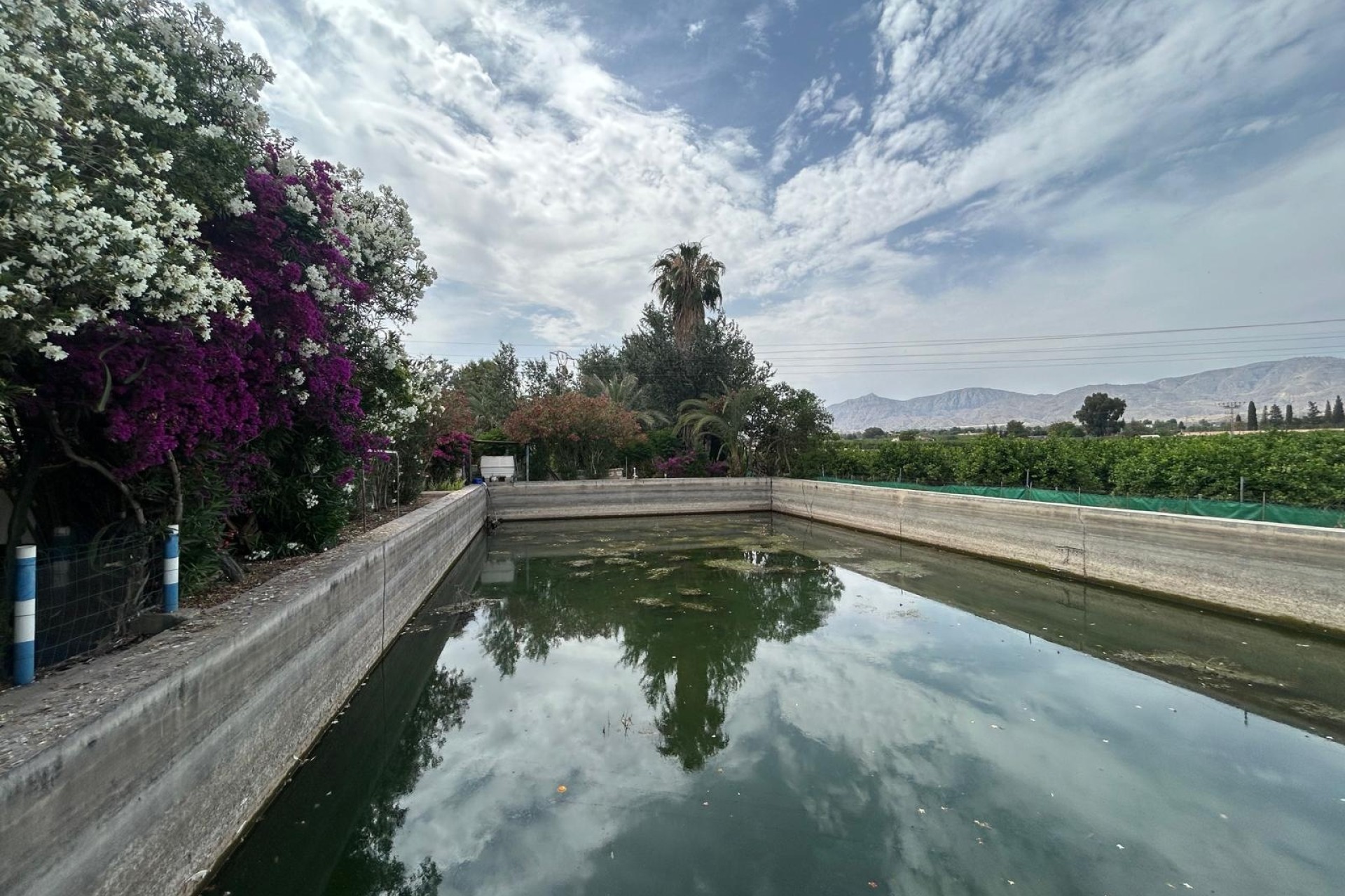 Revente - Finca Propriété rurale -
Crevillente