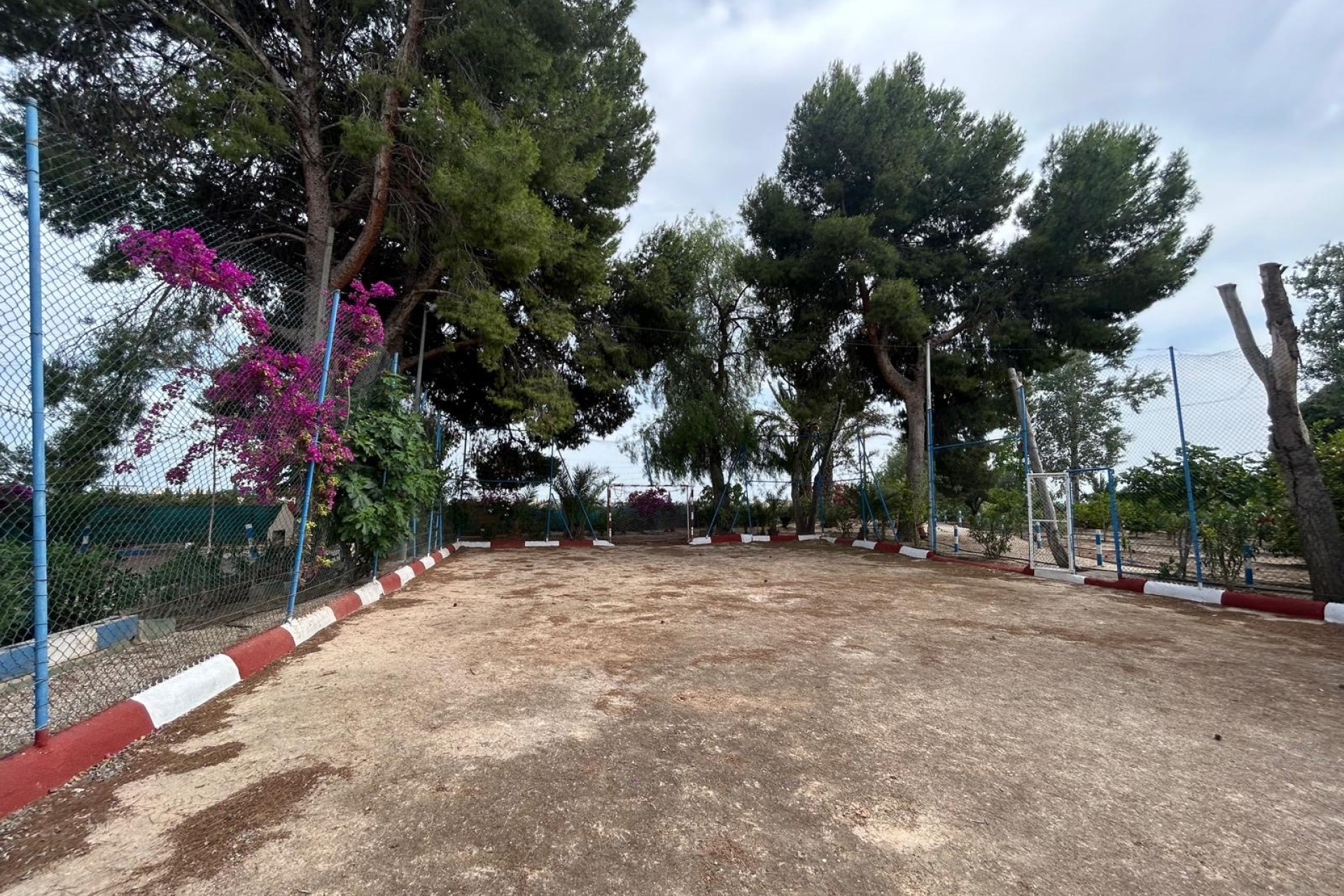 Revente - Finca Propriété rurale -
Crevillente