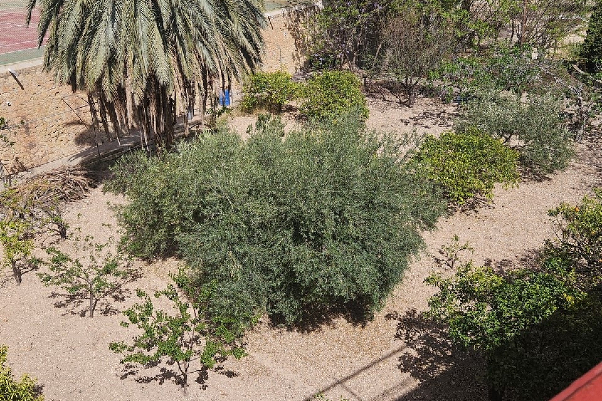 Revente - Finca Propriété rurale -
Crevillente