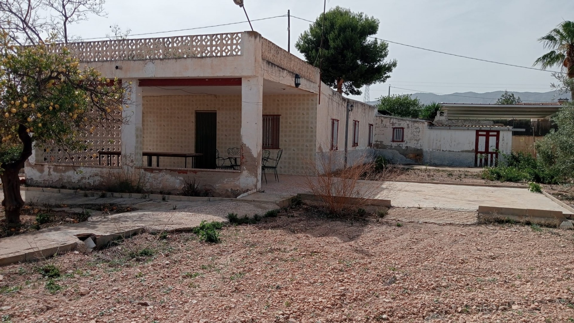 Revente - Finca Propriété rurale -
Crevillente