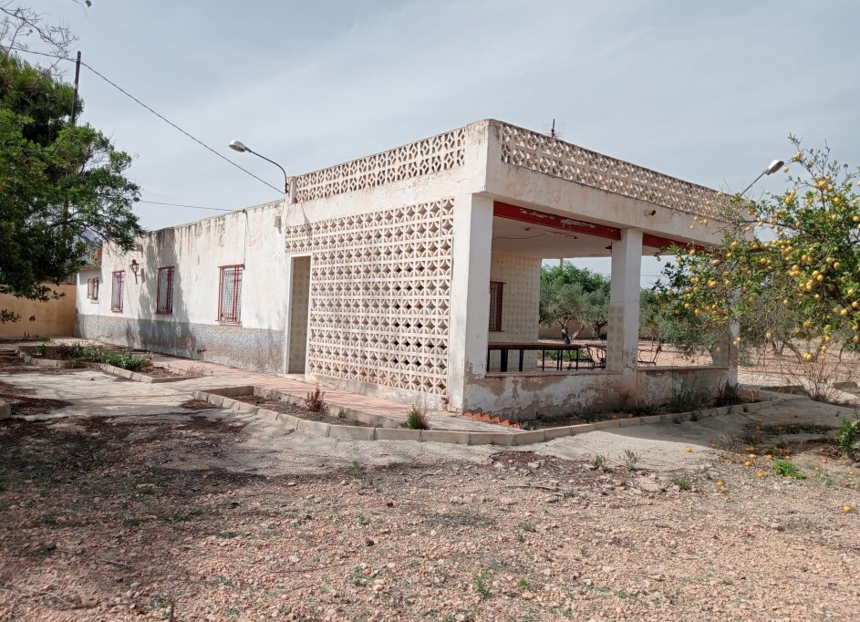 Revente - Finca Propriété rurale -
Crevillente