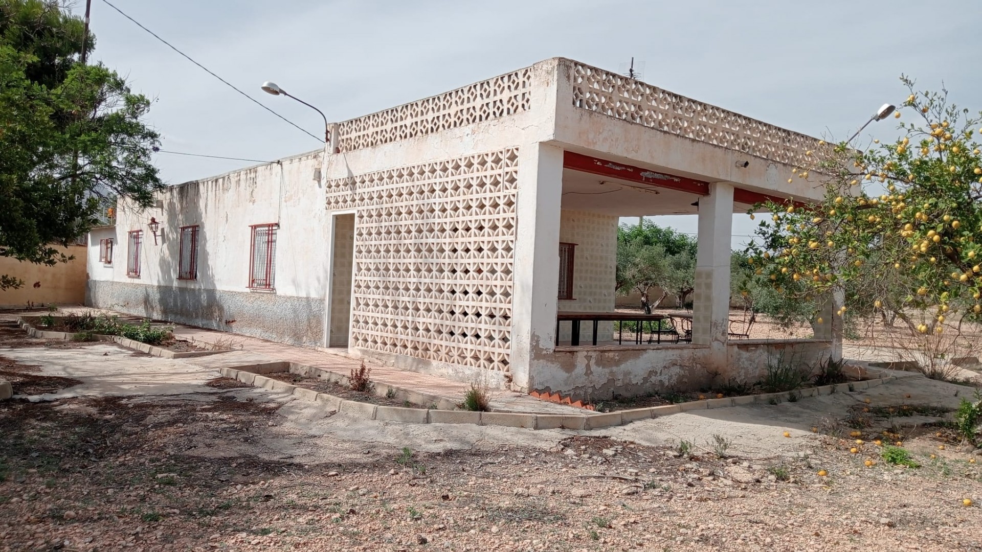 Revente - Finca Propriété rurale -
Crevillente