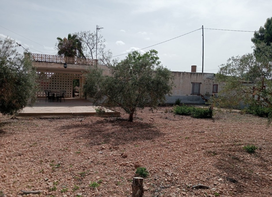 Revente - Finca Propriété rurale -
Crevillente