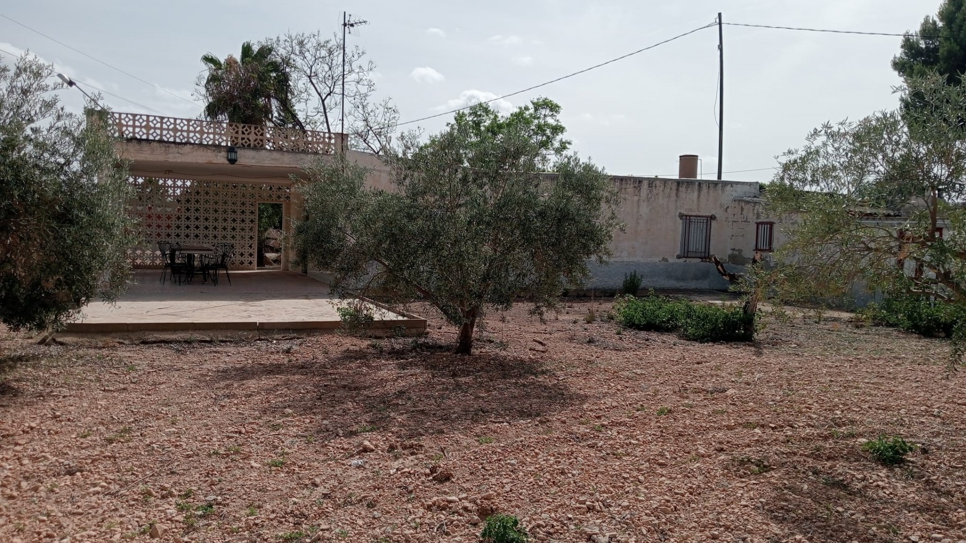 Revente - Finca Propriété rurale -
Crevillente