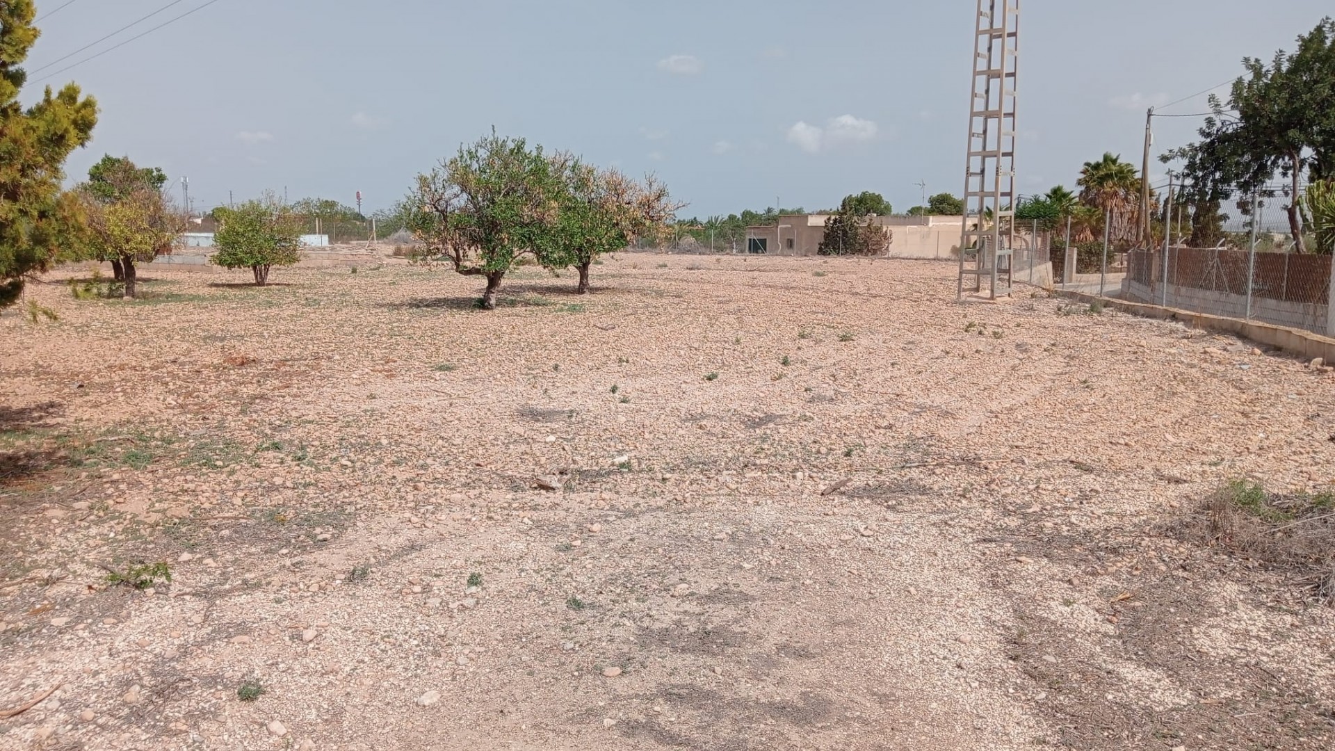 Revente - Finca Propriété rurale -
Crevillente