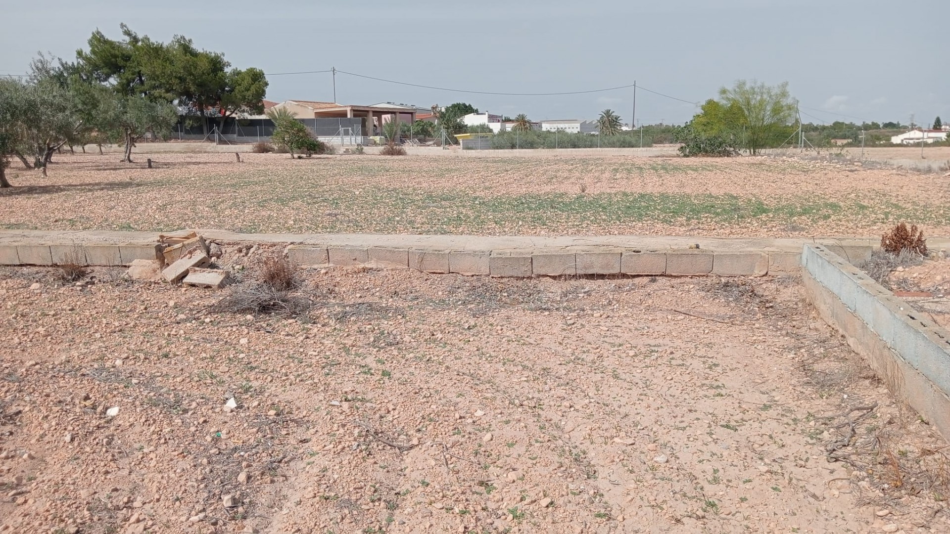 Revente - Finca Propriété rurale -
Crevillente