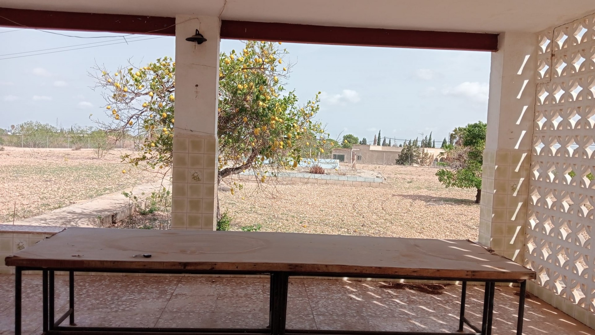 Revente - Finca Propriété rurale -
Crevillente