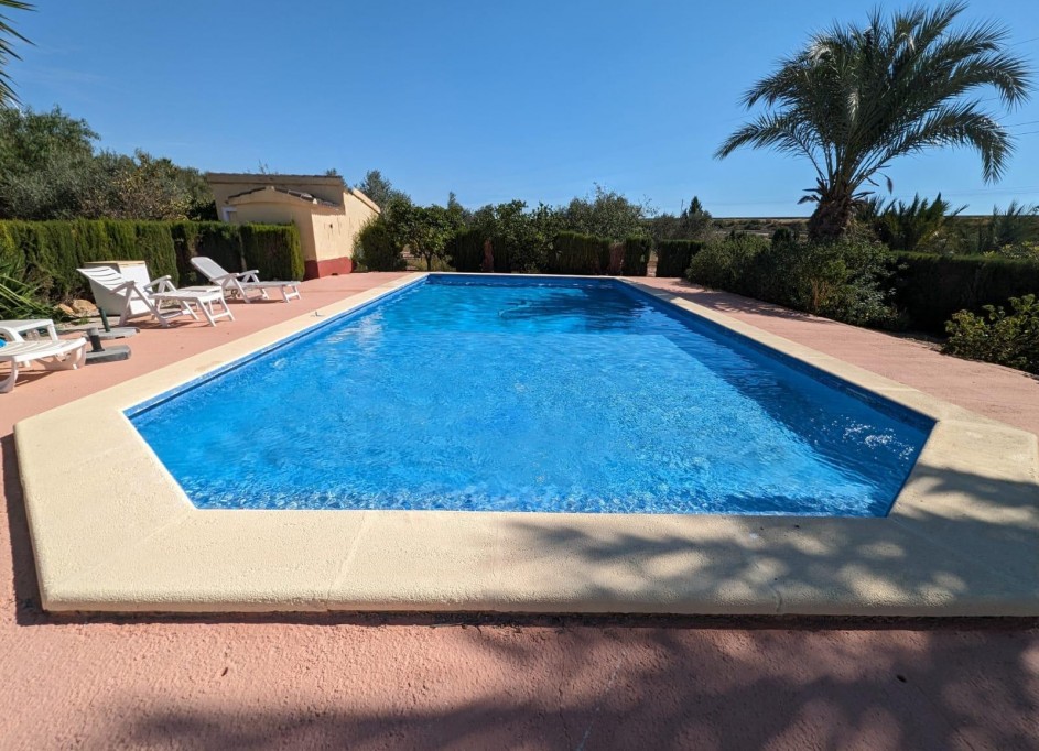 Revente - Finca Propriété rurale -
Crevillente