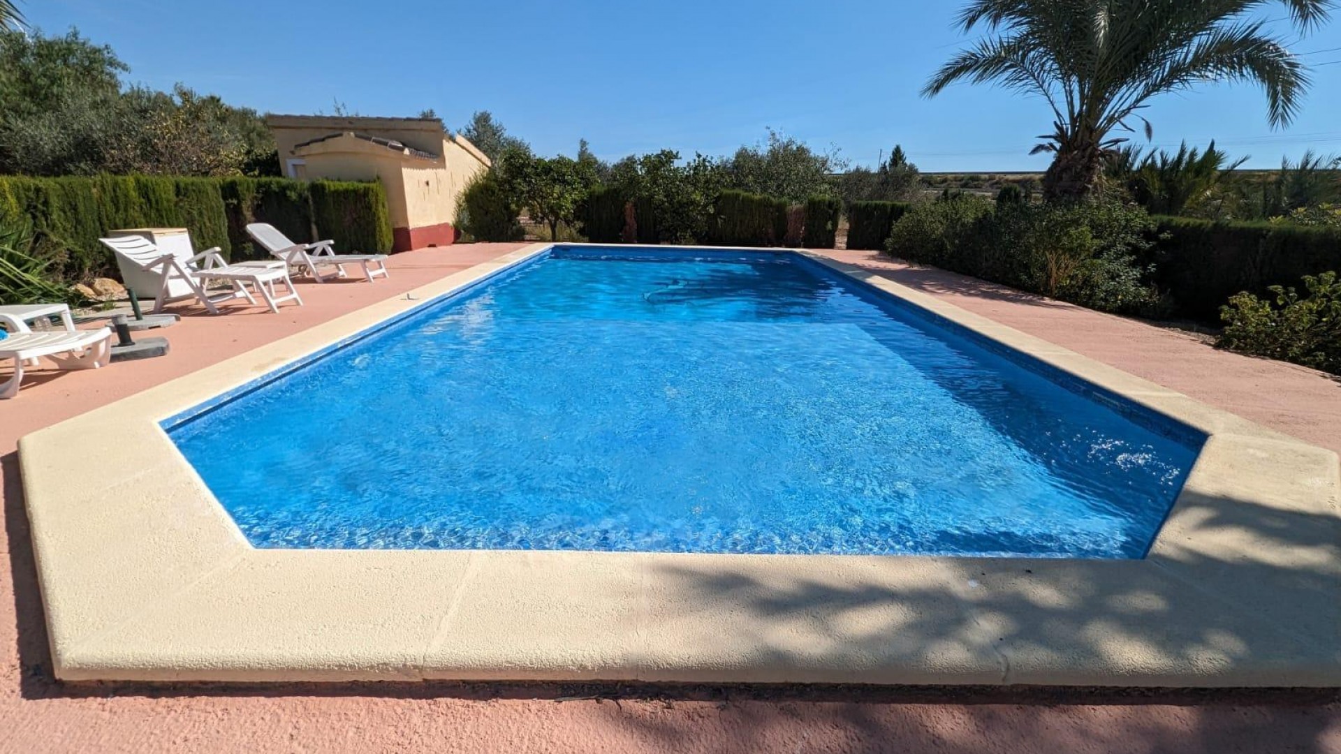 Revente - Finca Propriété rurale -
Crevillente