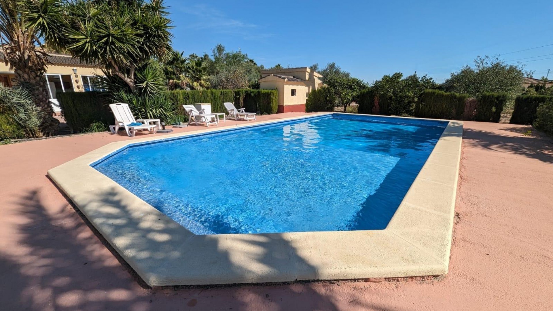 Revente - Finca Propriété rurale -
Crevillente