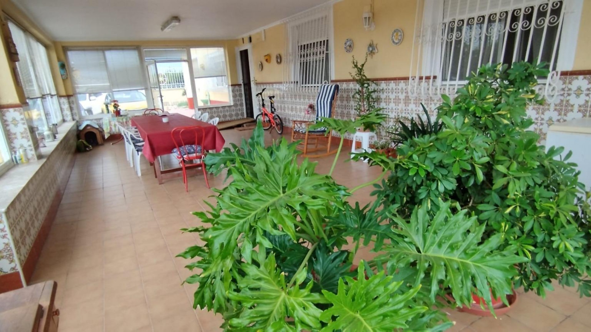 Revente - Finca Propriété rurale -
Crevillente