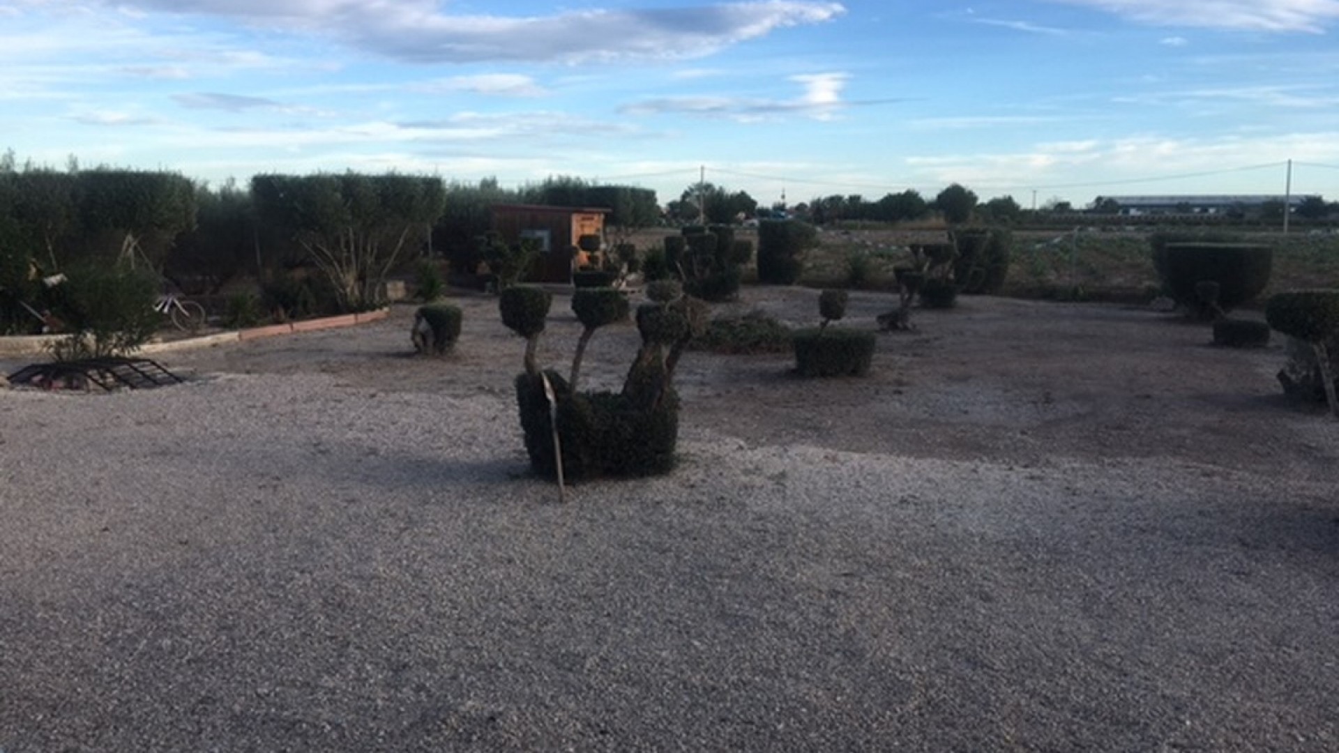 Revente - Finca Propriété rurale -
Dolores