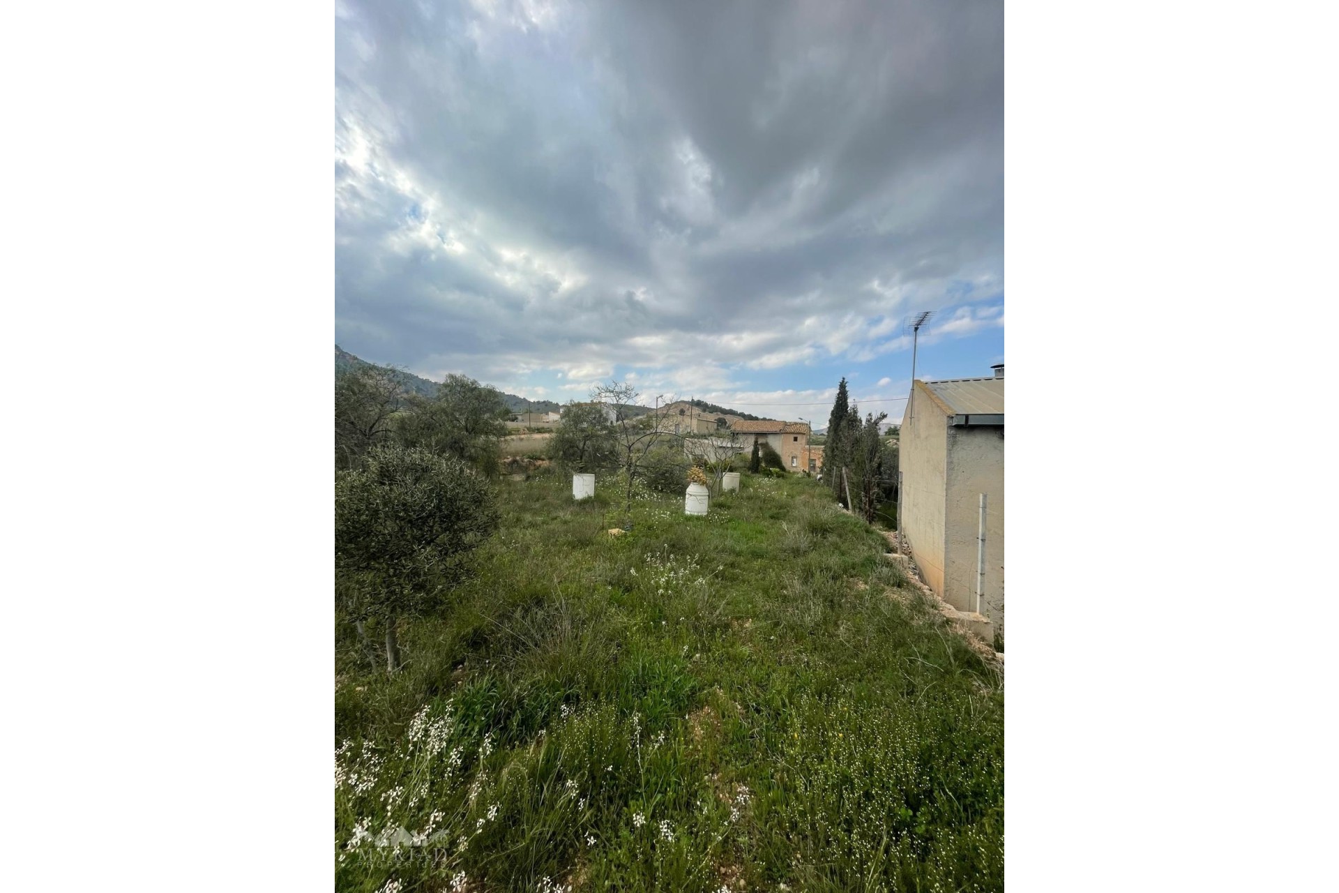 Revente - Finca Propriété rurale -
El Cantón