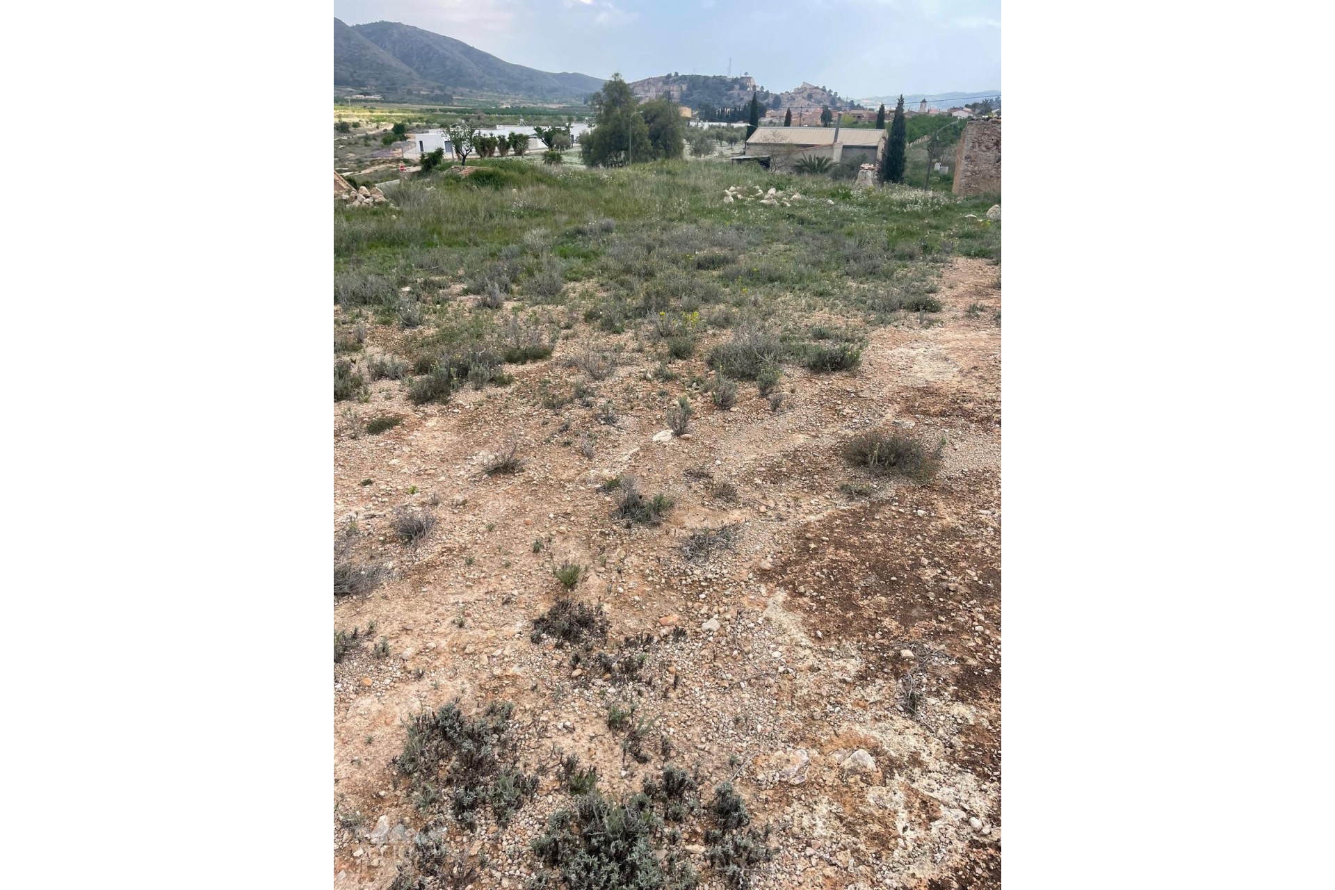 Revente - Finca Propriété rurale -
El Cantón