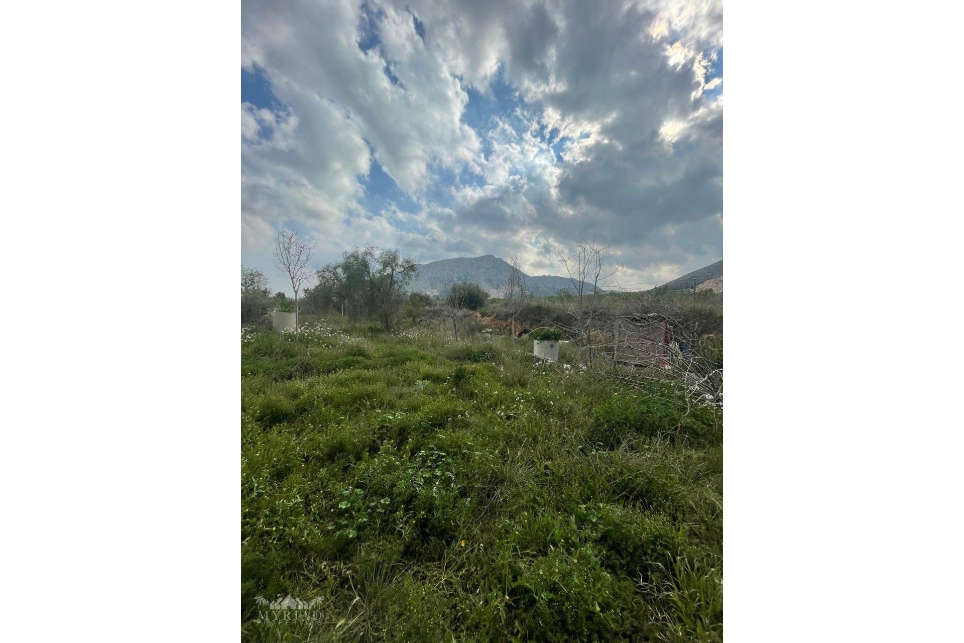 Revente - Finca Propriété rurale -
El Cantón