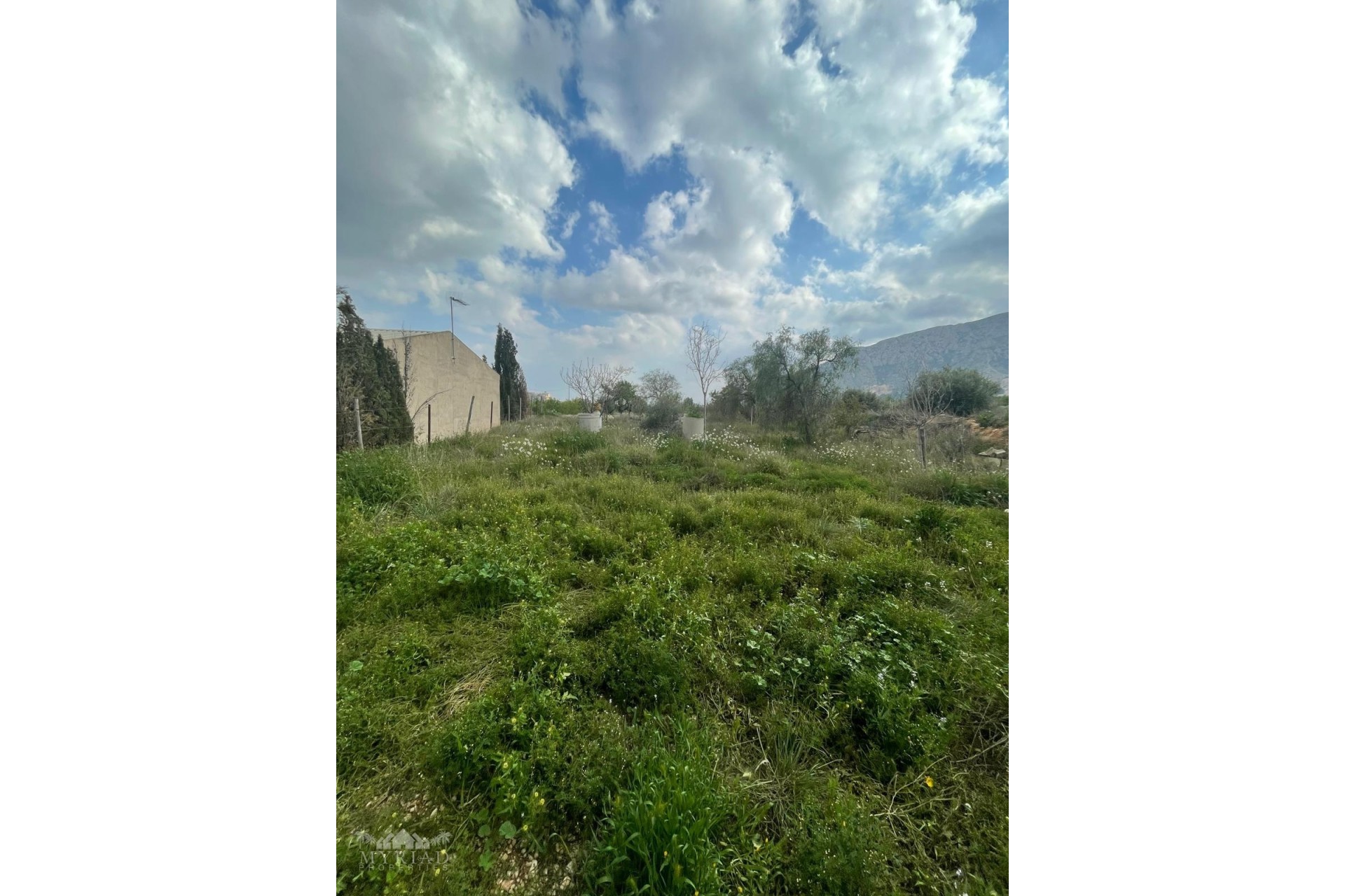 Revente - Finca Propriété rurale -
El Cantón