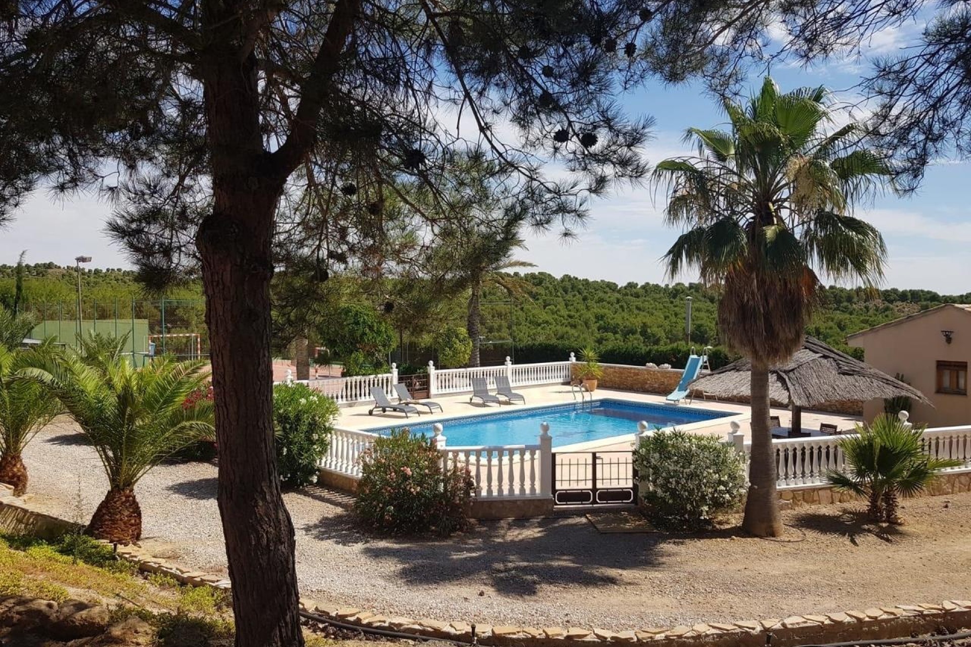 Revente - Finca / Propriété rurale -
El Esparragal - Inland