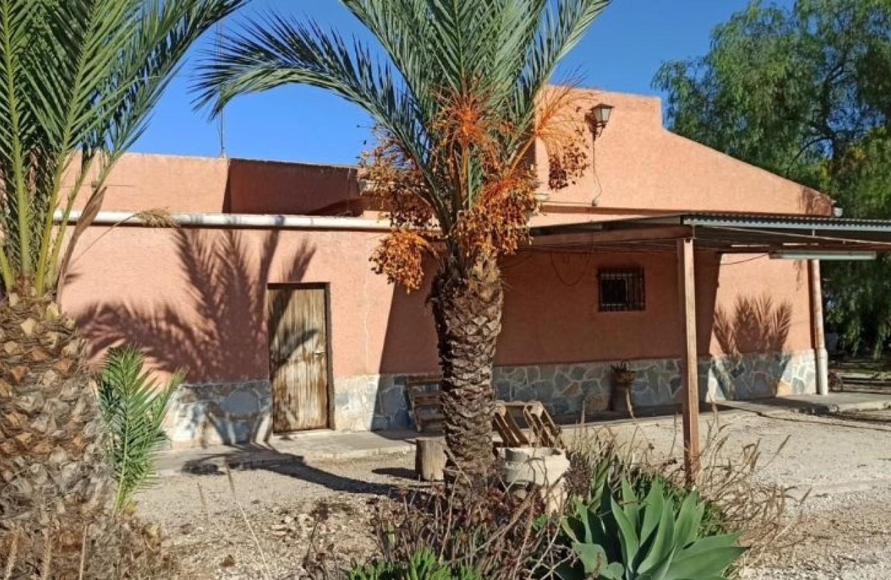Revente - Finca Propriété rurale -
Elche