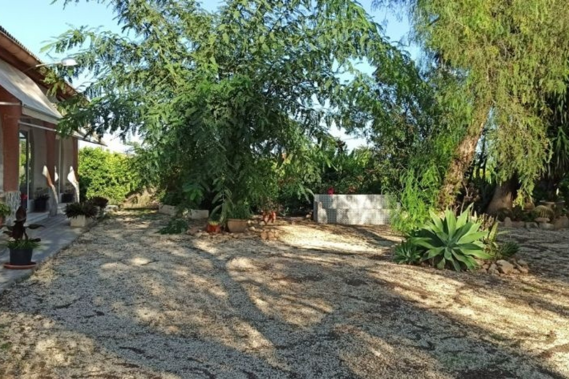 Revente - Finca Propriété rurale -
Elche