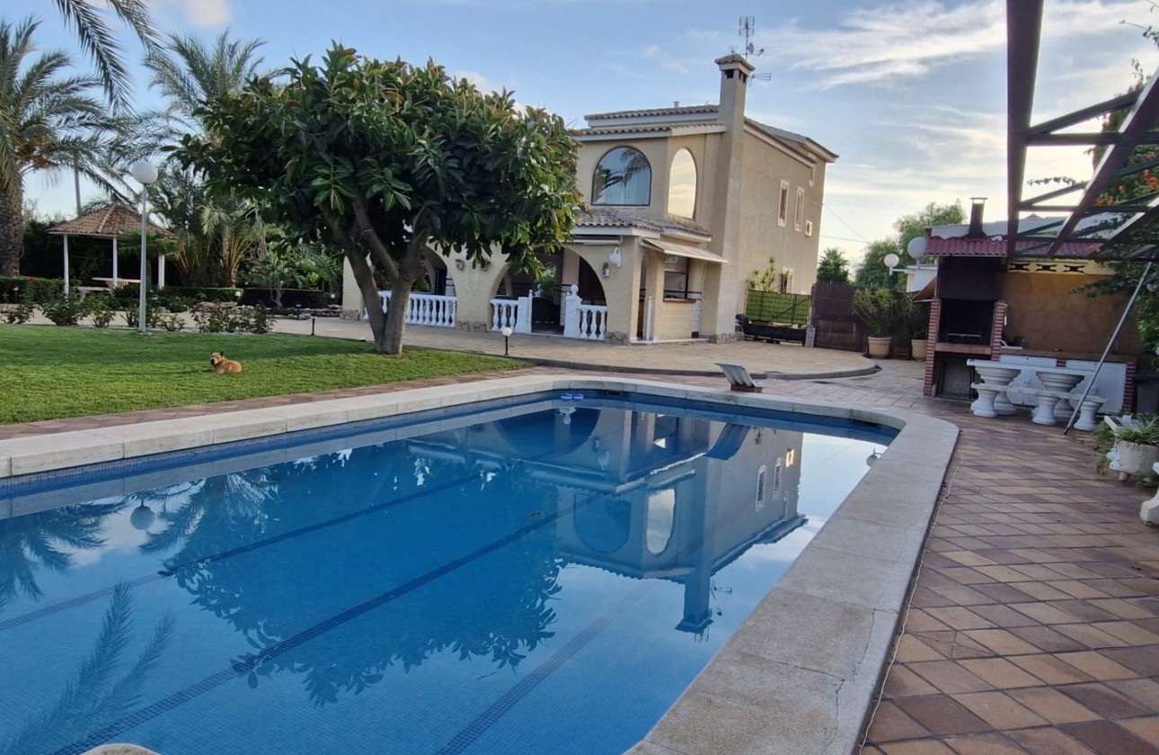 Revente - Finca Propriété rurale -
Elche