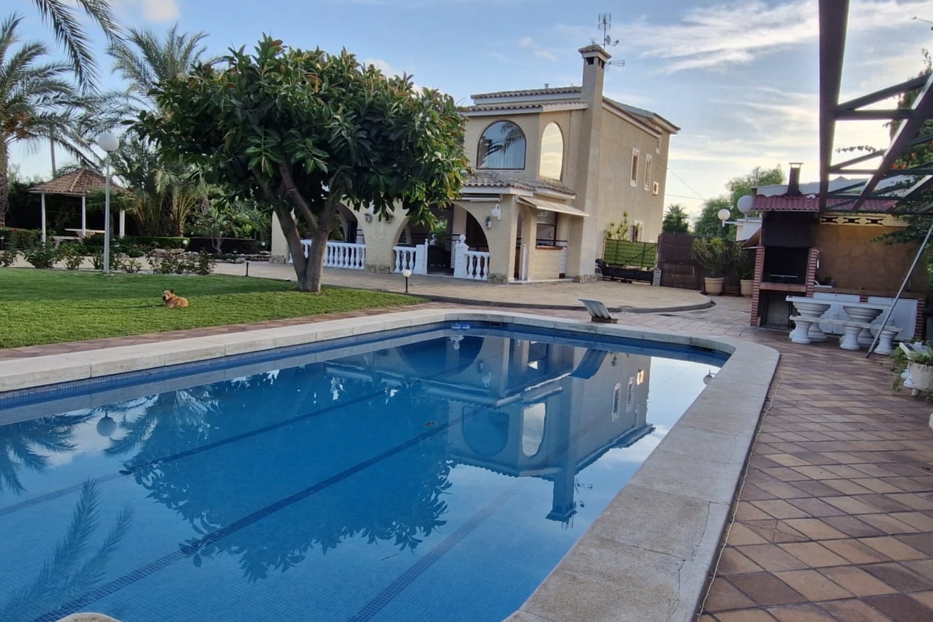 Revente - Finca Propriété rurale -
Elche