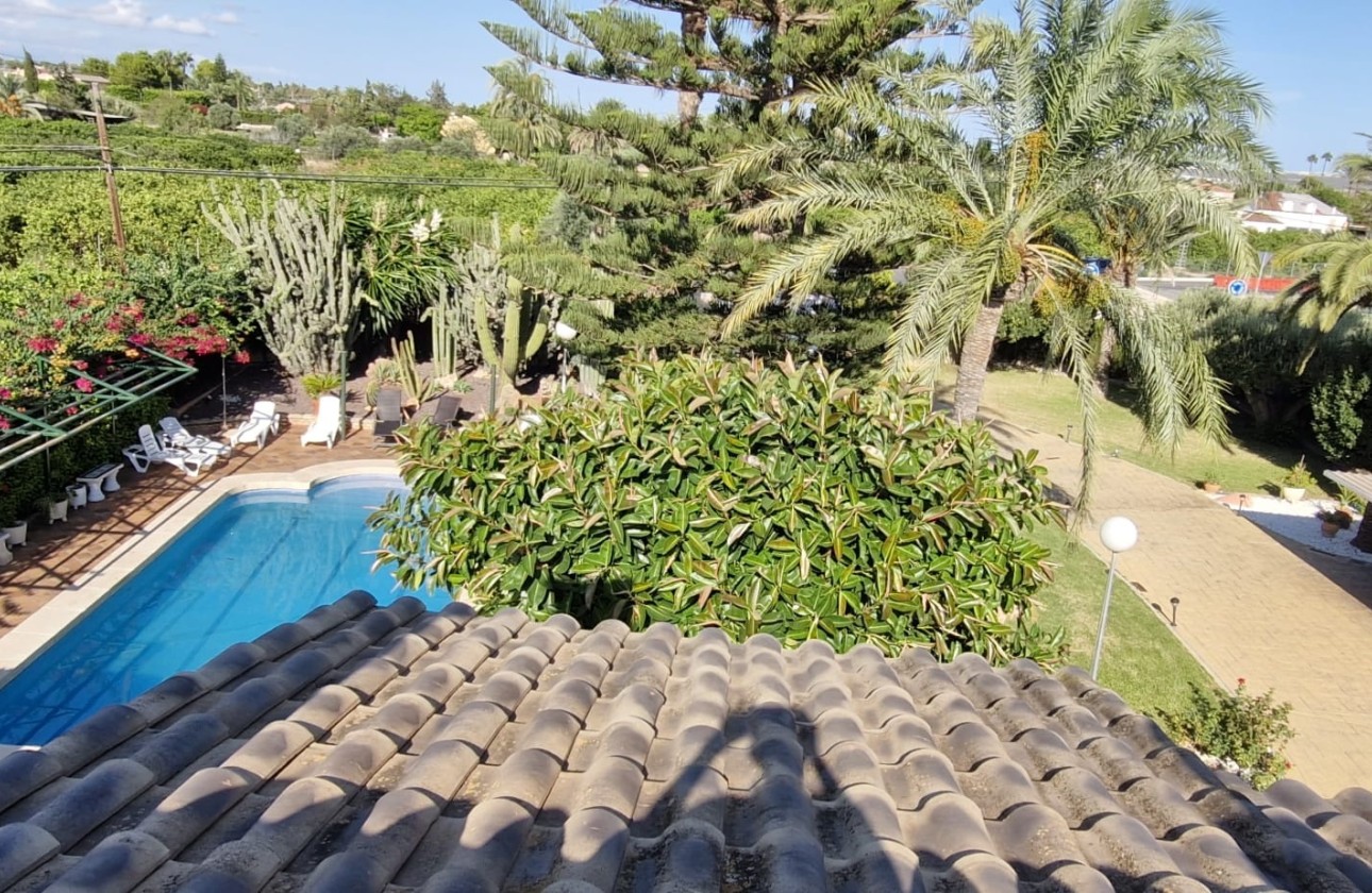 Revente - Finca Propriété rurale -
Elche